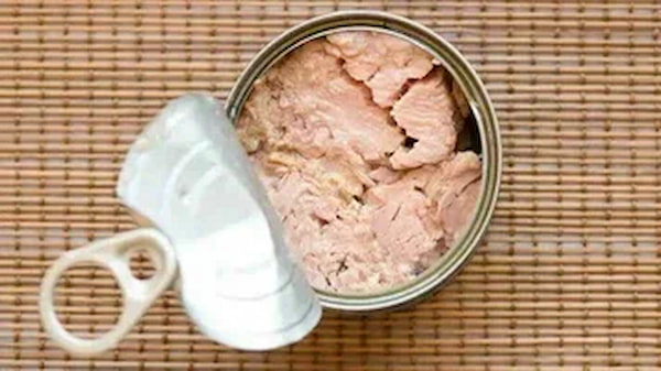 تصویر 1 از خرید و قیمت تن ماهی ساده شیلتون + فروش عمده